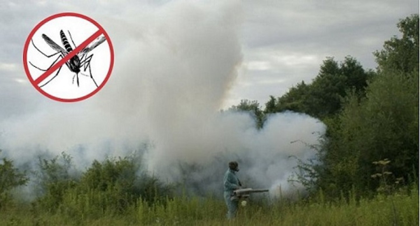 Kreće zaprašivanje komaraca u Zagrebu