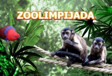 Zoolimpijada – edukativno druženje djece sa životinjama