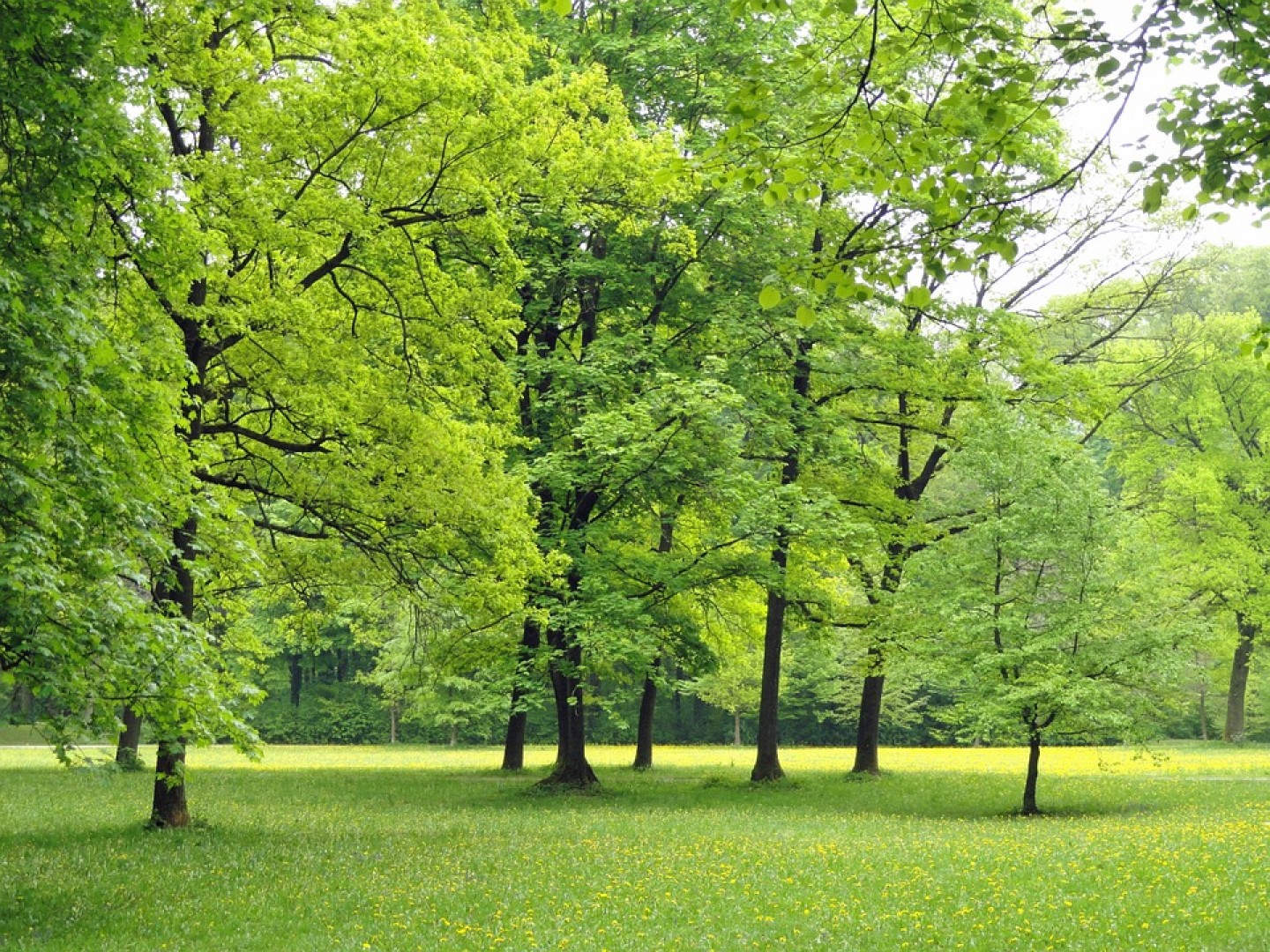 Maksimir uvršten na listu najljepših parkova u Europi