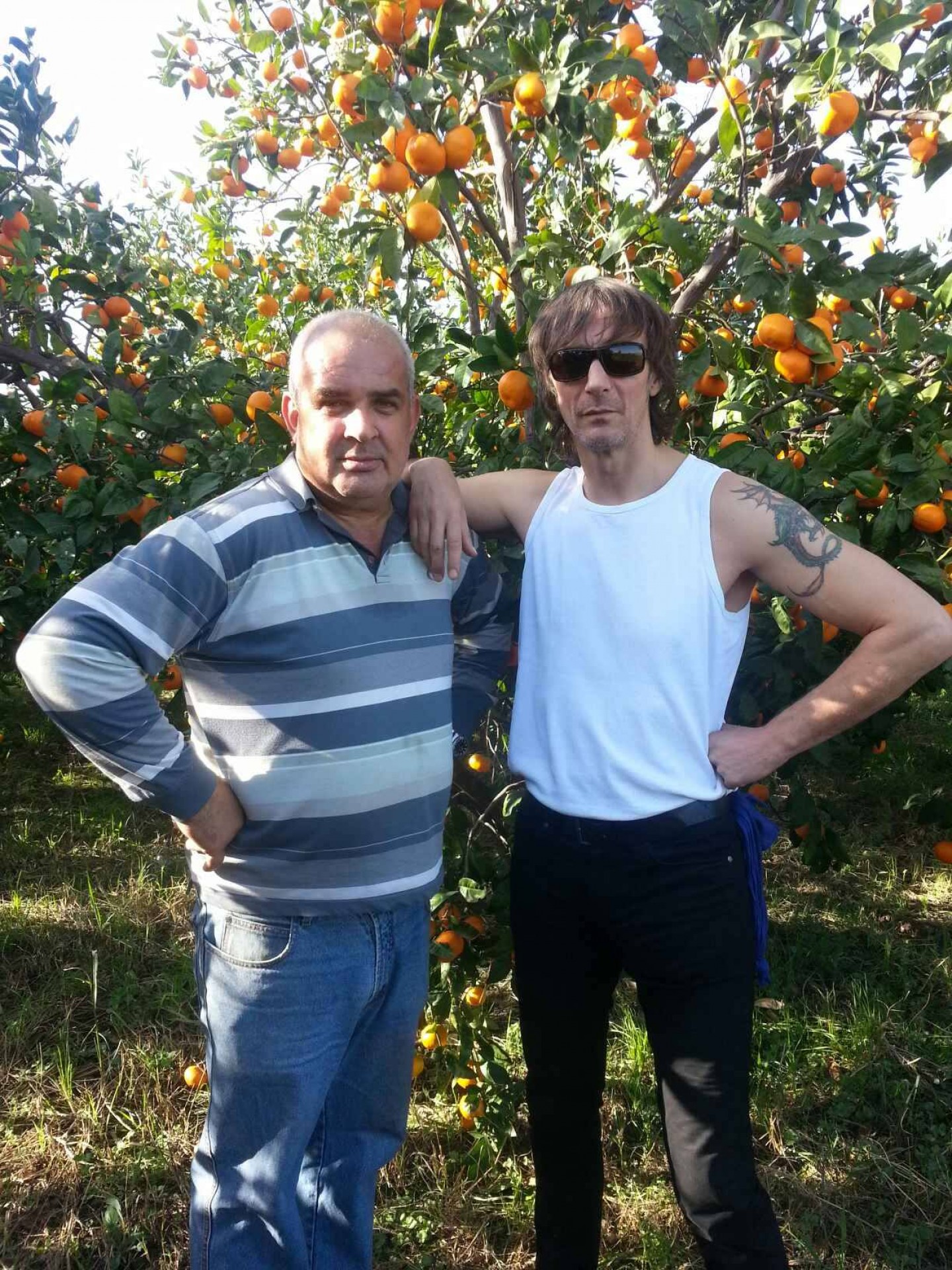 Proizvođač mandarina iz Neretve svoj urod besplatno dostavlja po Zagrebu