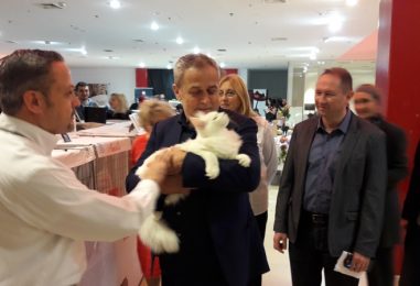 Savez felinoloških društava Hrvatske proslavio je 25. obljetnicu rada