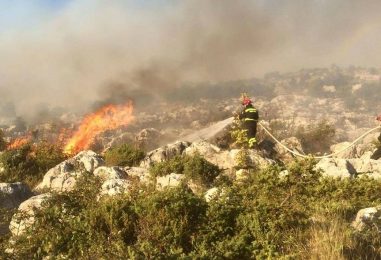 Grad Zagreb šalje pomoć požarištima u Dalmaciji